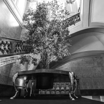 IMG 8819-Modifica-Modifica